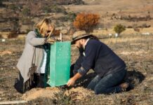 Il Gruppo Volkswagen dona un milione di Dollari per il rimboschimento in Australia