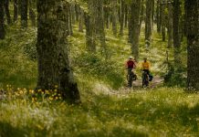 IL FUTURO DEL TURISMO CON L’EBIKE bosch-ebike-performance-line-px-4__