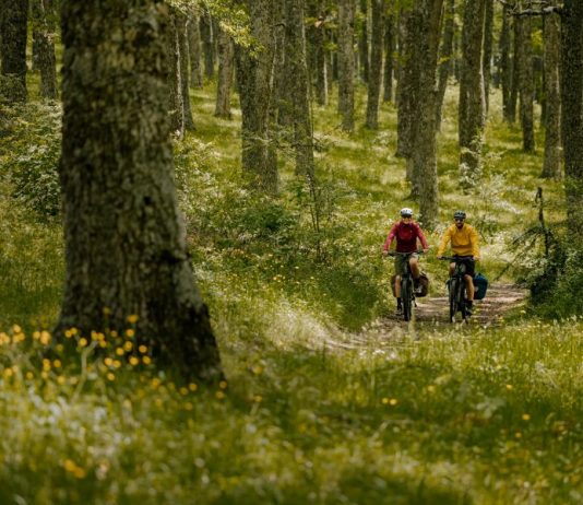 IL FUTURO DEL TURISMO CON L’EBIKE bosch-ebike-performance-line-px-4__