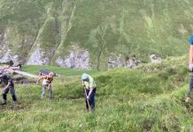 SI CERCANO VOLONTARI PER LA PROTEZIONE DELLA FORESTA DI MONTAGNA Avers_2025KW26_Bergwaldprojekt_022