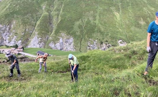 SI CERCANO VOLONTARI PER LA PROTEZIONE DELLA FORESTA DI MONTAGNA Avers_2025KW26_Bergwaldprojekt_022