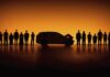 DONNE E UOMINI, LA SICUREZZA IN AUTO È DAVVERO UGUALE? A new Volvo study suggests the company's vehicles provide equal protection for women and men.